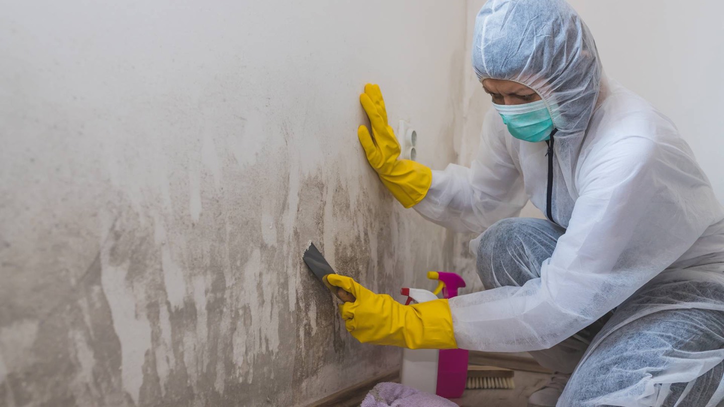 Emergency mold cleanup after water damage
