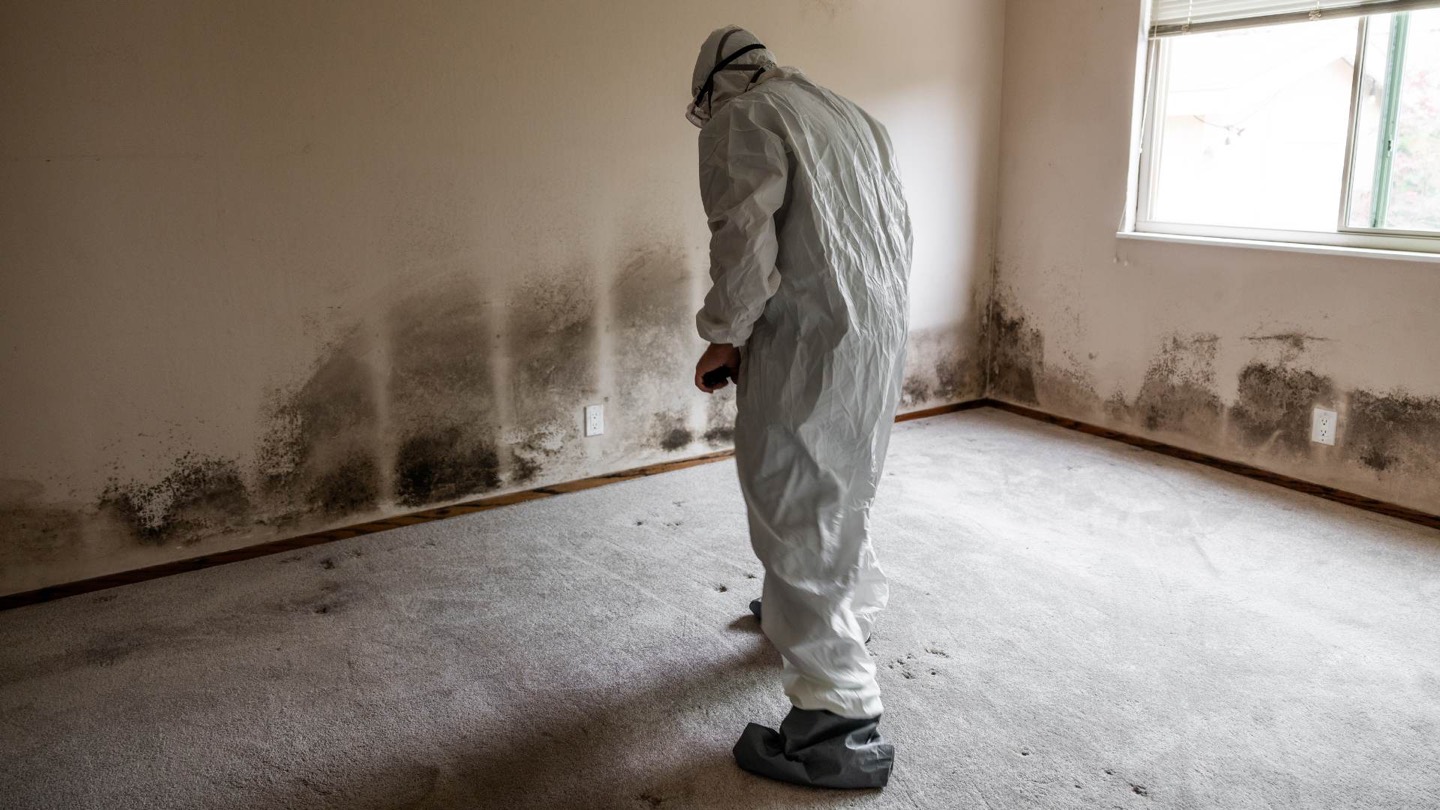 Moisture damage and mold growth inside wall cavity